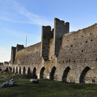 Varför har gotlänningar ett eget r-ljud?