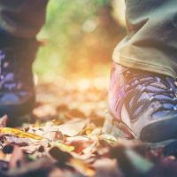 Gå, promenera, spankulera, traska, strosa...