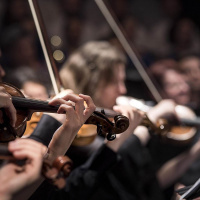 Orkestrerade språkfrågor om musik 