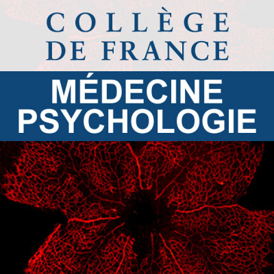 Collège De France (médecine/psychologie)