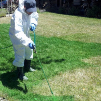 Paint Your Grass - John Derringer - 18/07/16