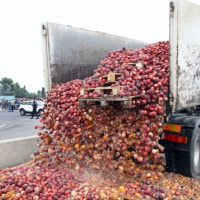 Would You Buy Food That Fell From The Truck? - John Derringer - 04/08/16