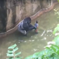 Tool Of The Day: Humans - John Derringer - 01/06/16