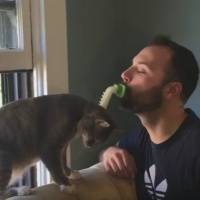 Real Product Or Fake Product