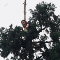 Tool Of The Day: 80 Feet In A Tree For 24 Hours - John Derringer - 24/03/16