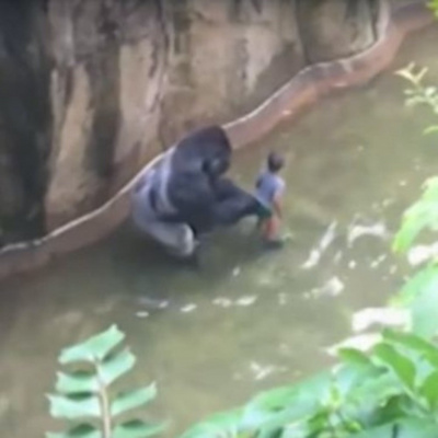 Derringer In The Morning