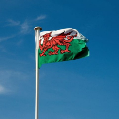 Derringer In The Morning