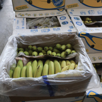 Trumps tariff turnaround