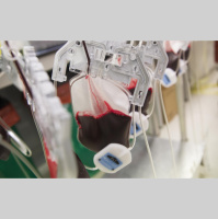 Dora Díaz: Es importante donar antes, durante y después de los puentes festivos