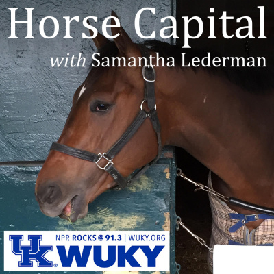 Horse Capital With Samantha Lederman