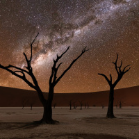 Nómadas - Namibia, los ecos del silencio - 03/05/25