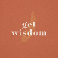 Get Wisdom