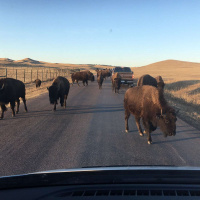 Standing Rock - Part 2