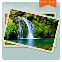 [12 mins] Évolution et Sélection Naturelle