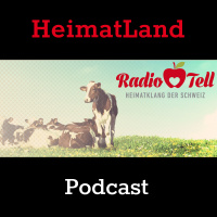 Hugo Studhalter - Ich möchte etwas zurückgeben.