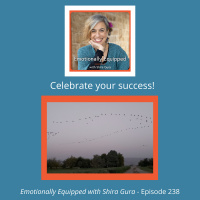 238: Celebrate your success