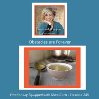 245: Obstacles are forever