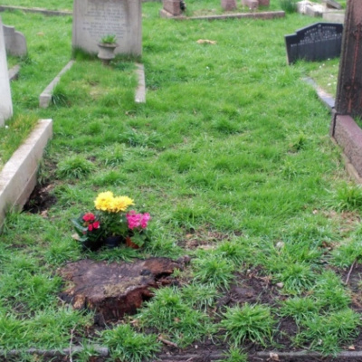 Programa A Ninguna Parte