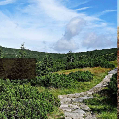 Programa A Ninguna Parte