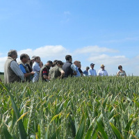 161: Strategic Farm Week 2020 podcast special