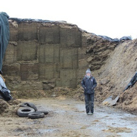 139: Can liver fluke survive in silage?