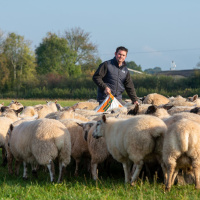 165: Beef  Lamb Strategic Farmer activity update