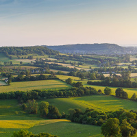 176: Agri Market Outlook | Preparing for the future 