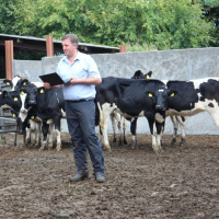 157: Maintaining consistency in youngstock