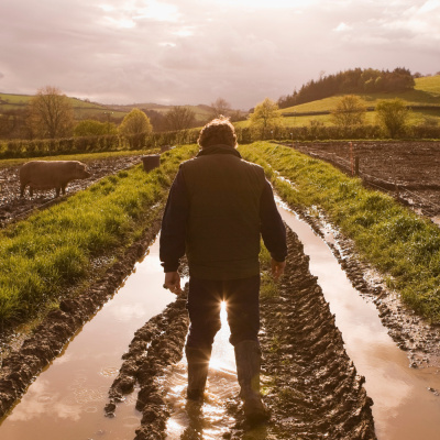 Ahdb Cereals  Oilseeds
