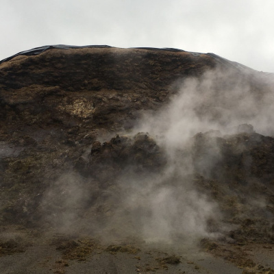 Ahdb Cereals  Oilseeds