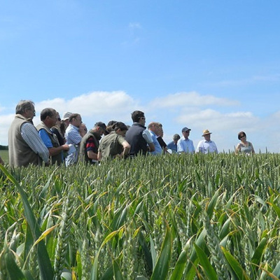Ahdb Cereals  Oilseeds
