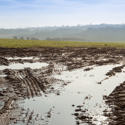 Ahdb Cereals  Oilseeds