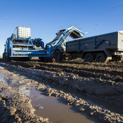 Ahdb Cereals  Oilseeds