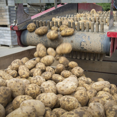 Ahdb Cereals  Oilseeds