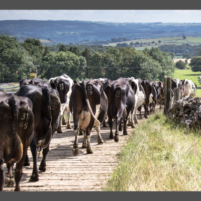 Ahdb Cereals  Oilseeds