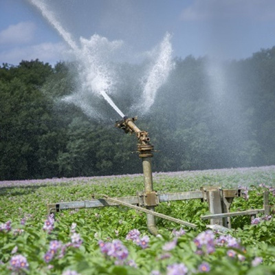 Ahdb Cereals  Oilseeds