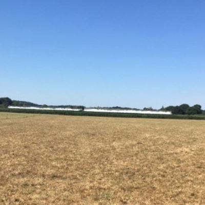 Ahdb Cereals  Oilseeds