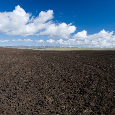 Ahdb Cereals  Oilseeds