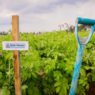 Ahdb Cereals  Oilseeds