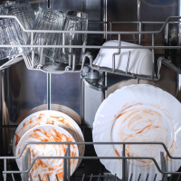 More Dishwasher Reaction, Quizes and Maxie