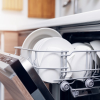 Dishwasher Etiquette, Tim Lammers and Game Changers
