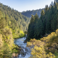 How the Sierra Club ‘imploded’ over DEI