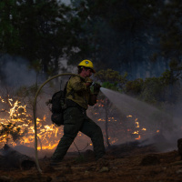 U.S. Forest Service lifts mask ban. CA firefighter reacts