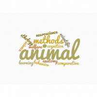 What Does “Science Based” Dog Training Mean?