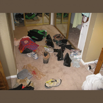 Pet Behavior Consulting Essentials