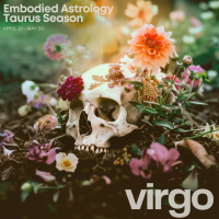 VIRGO Horoscope for Taurus Season (April 19-May 20, 2024)