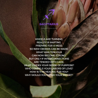 SAGITTARIUS Horoscope for Leo Season (July 22-Aug 23, 2023)