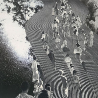 Cancer Horoscope for Aquarius Season (January 20, 2020 - February 19, 2020)