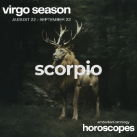 SCORPIO Horoscope for Virgo Season (August 22 - September 22, 2024)