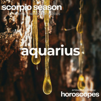  ♒ AQUARIUS ♒ - Dont Lie To Yourself Right Now - SCORPIO SEASON 2025 MONTHLY HOROSCOPE